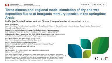 Three-dimensional regional model simulation of dry and wet deposition fluxes of inorganic mercury species in the springtime Arctic